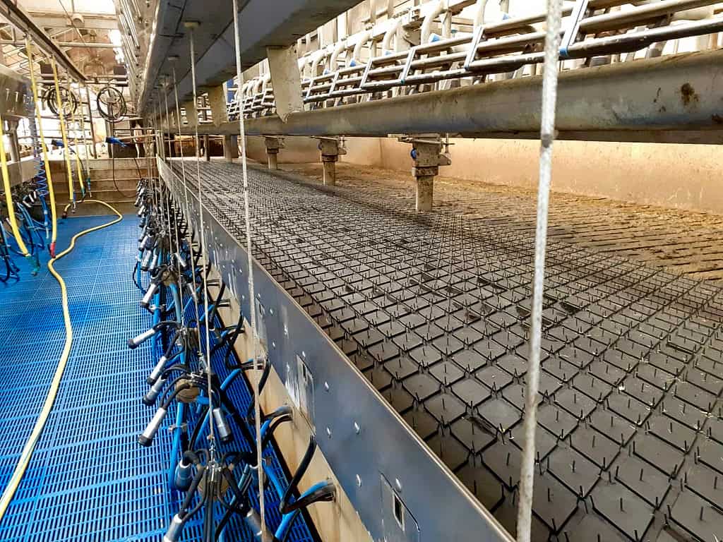 Agri-Diamond Rolled Rubber Flooring - Image 2
